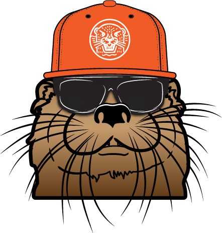 A stylized illustration of a brown otter wearing black sunglasses and an orange baseball cap with a circular logo.
