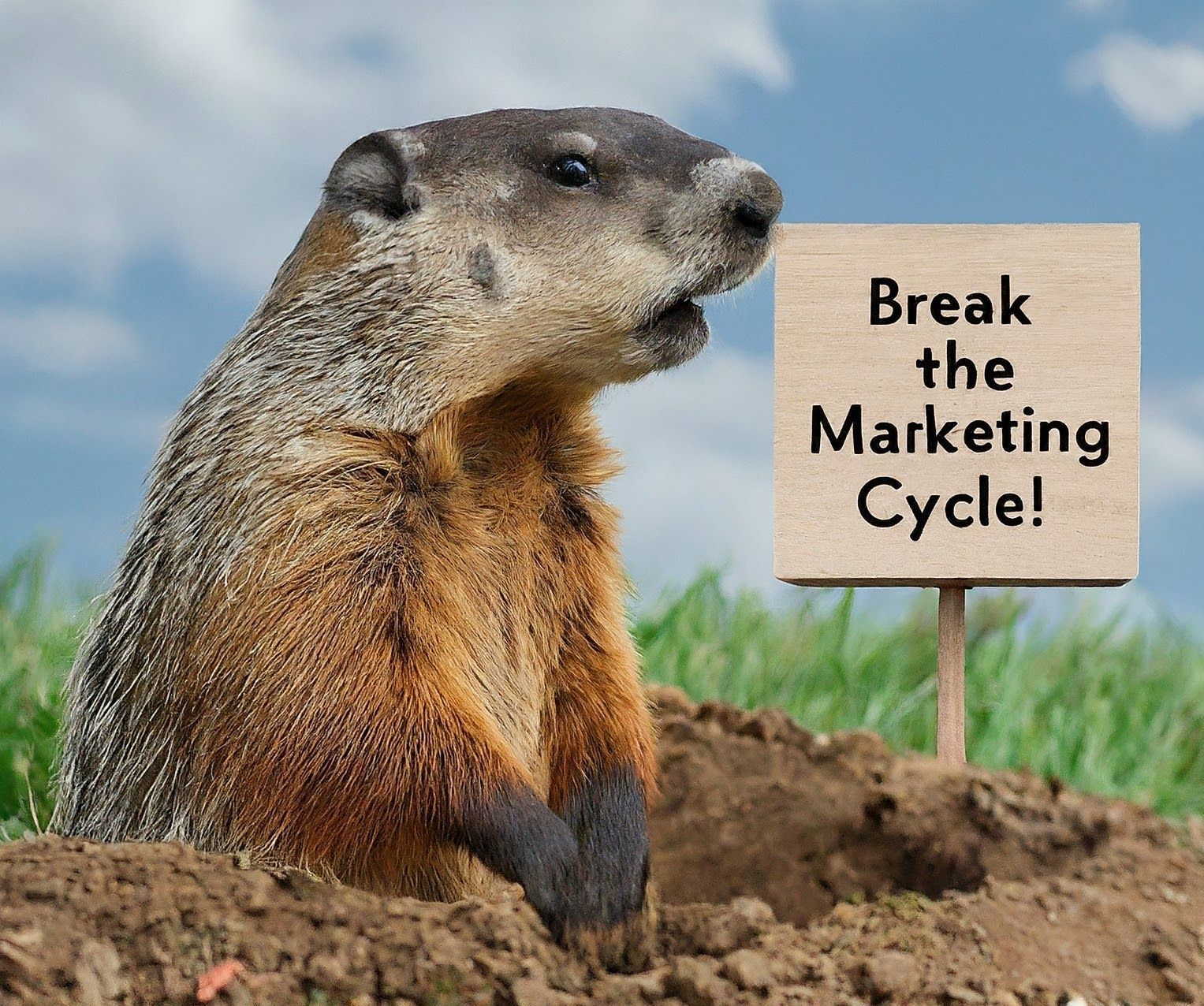 Agroundhog is holding a sign that says break the marketing cycle.