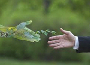 Gestão Ambiental