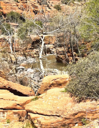 A river runs through a rocky area surrounded by trees and rocks.