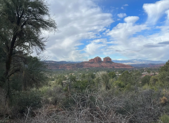 A desert landscape with a mountain in the background and trees in the foreground.