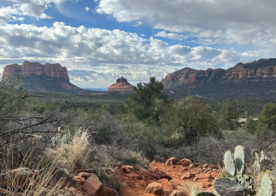 A desert landscape with mountains in the background and a cactus in the foreground.