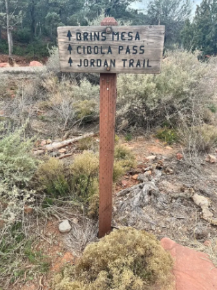 A wooden sign on a post in the middle of a field.