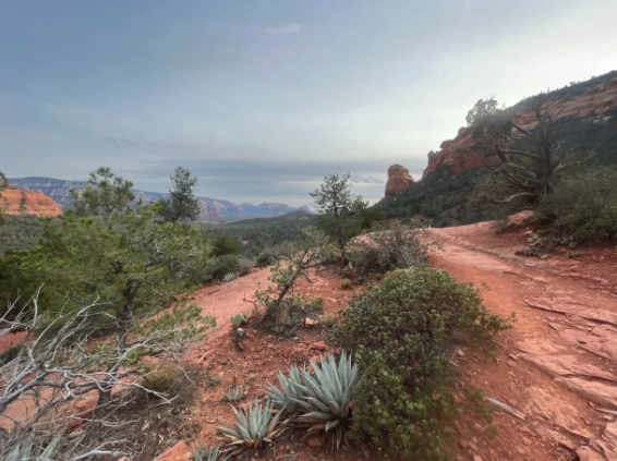 A dirt road in the desert with mountains in the background.