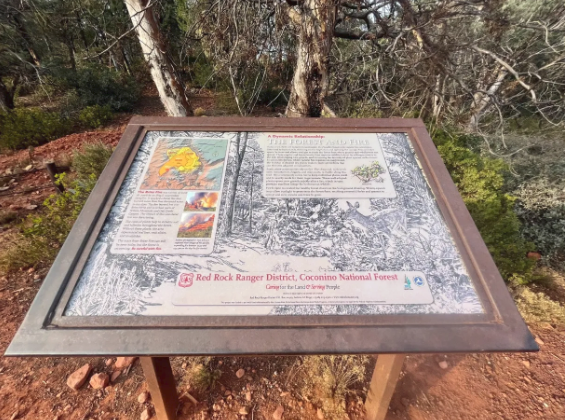A sign is sitting on top of a wooden table in the middle of a forest.