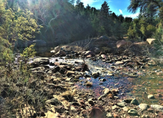 A river flowing through a rocky area with trees in the background
