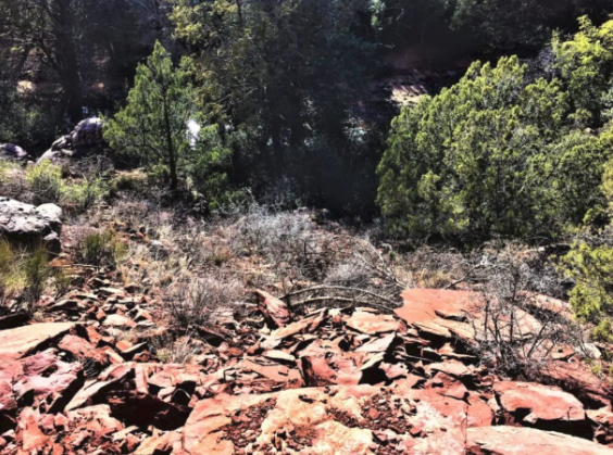 A blurred image of a rocky hillside with trees in the background