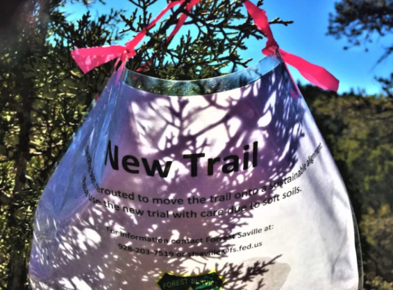 A bag that says new trail is hanging from a tree