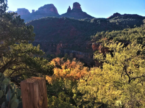 A view of a valley with mountains in the background and trees in the foreground.