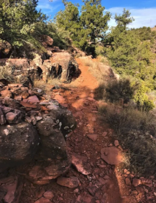 A dirt path surrounded by rocks and trees on a hillside.