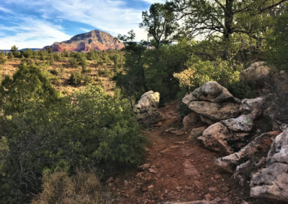 A dirt path surrounded by rocks and trees with a mountain in the background.