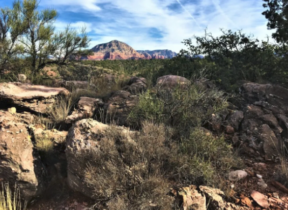 A desert landscape with rocks , trees and mountains in the background.
