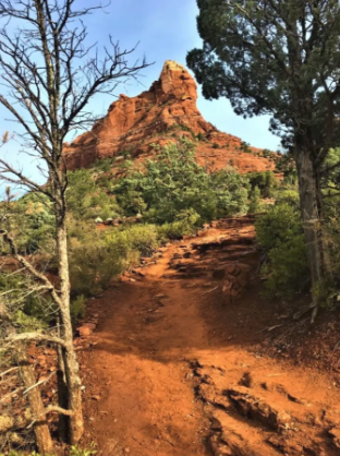 A dirt path with trees and a mountain in the background