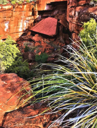 A painting of a rocky landscape with a plant in the foreground
