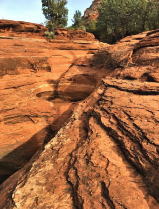 A close up of a rock formation with trees in the background.