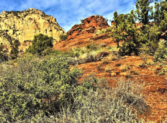 A blurry picture of a desert landscape with mountains in the background.