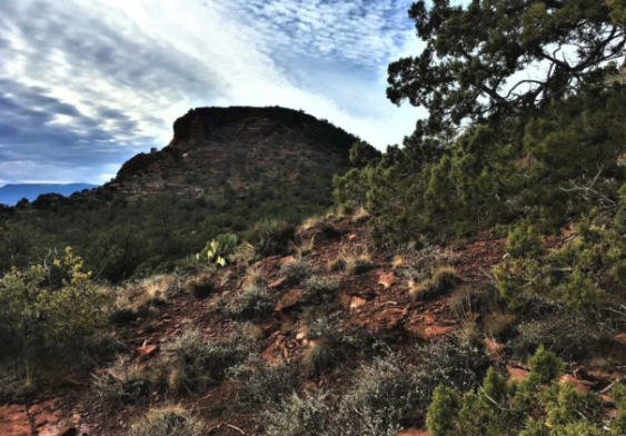 A mountain covered in trees and bushes with a cloudy sky in the background.