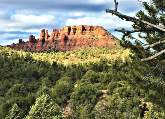 A mountain in the middle of a forest with trees in the foreground