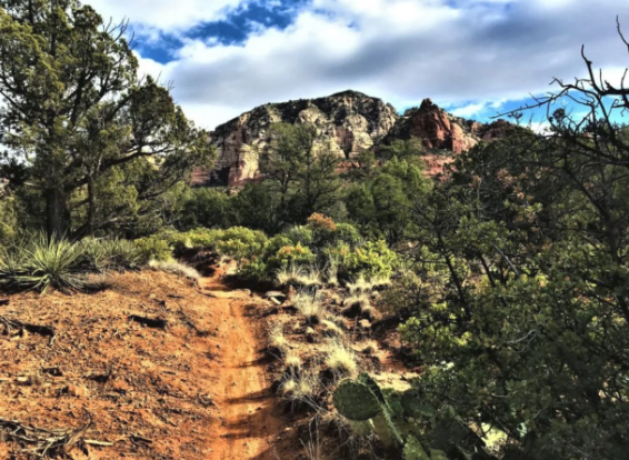 A dirt path leading to a mountain surrounded by trees