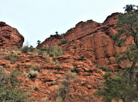 A rocky cliff with trees and bushes on it
