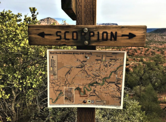 A wooden sign that says scorpion on it