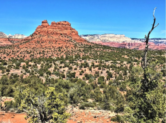 A desert landscape with a mountain in the background and trees in the foreground.