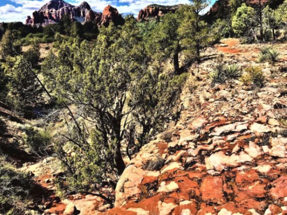 A painting of a desert landscape with mountains in the background.
