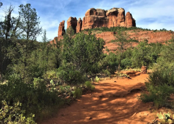A dirt road in the middle of a desert with a mountain in the background.