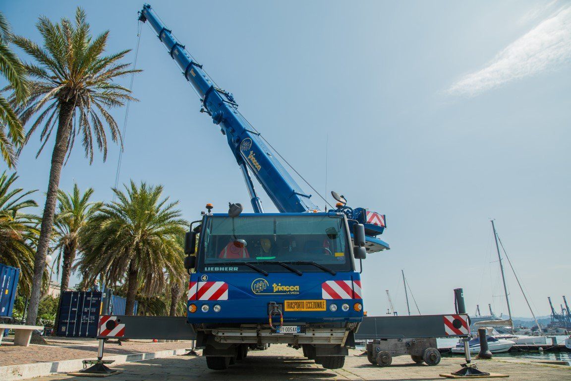 self-propelled crane