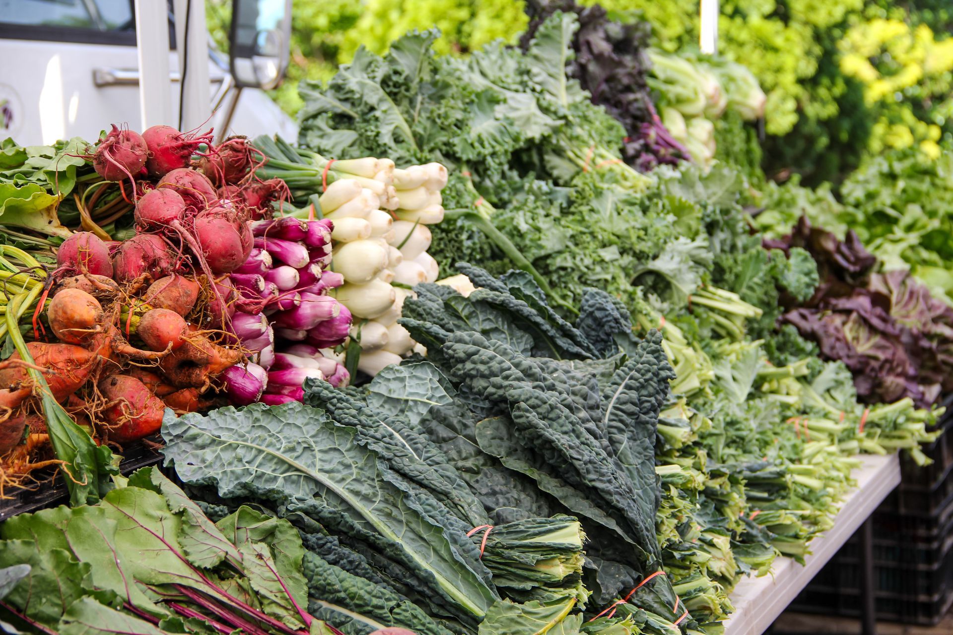 fresh vegetables for sale