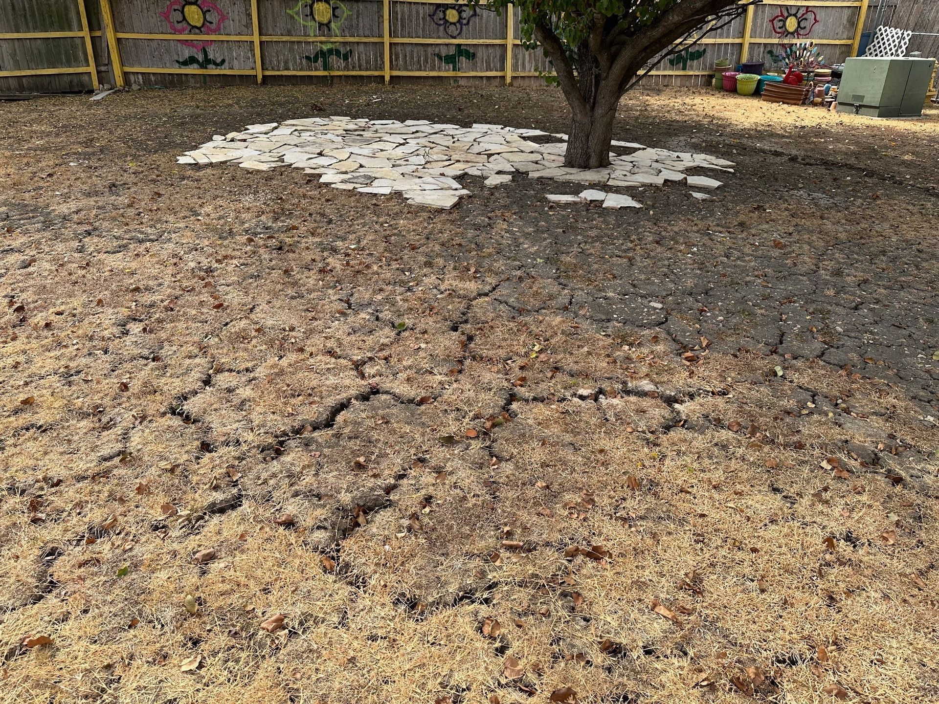 Dried Crack Soil | San Antonio, TX