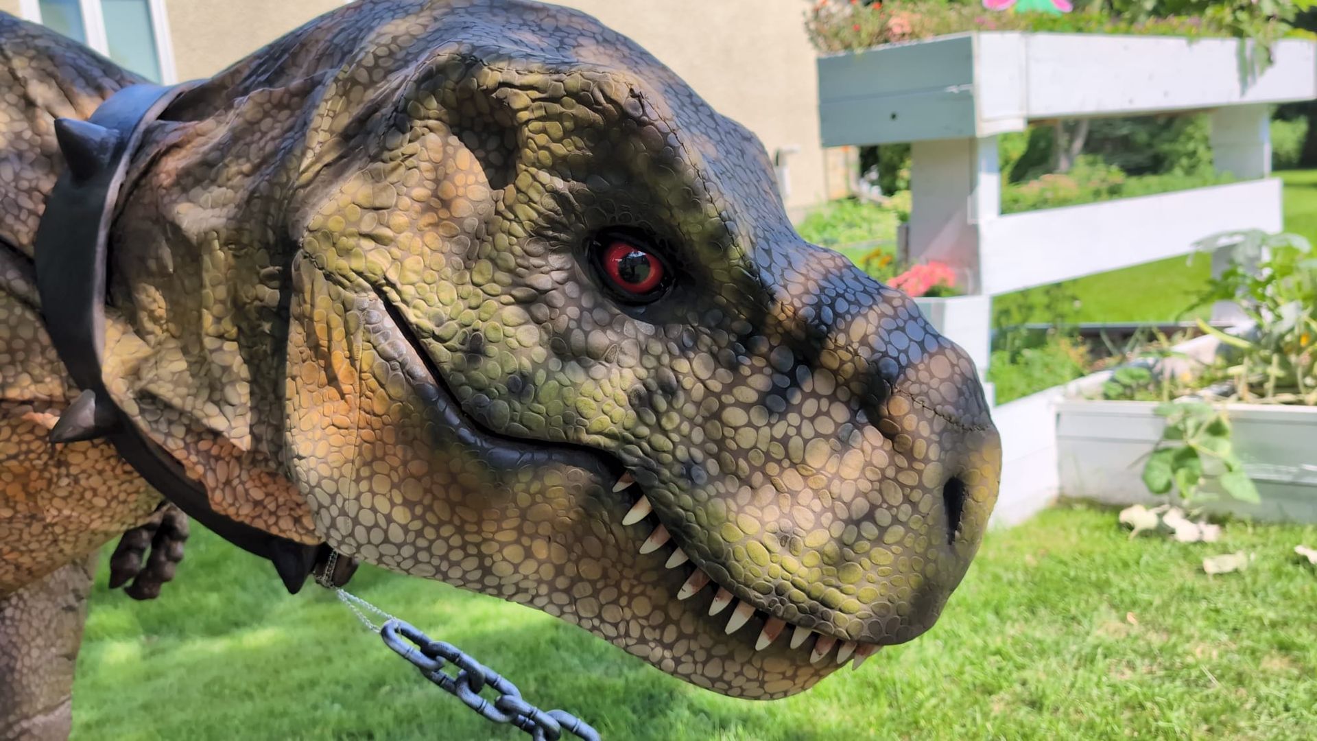 T-Rex Takeover - Dinosaur Experience Winnipeg