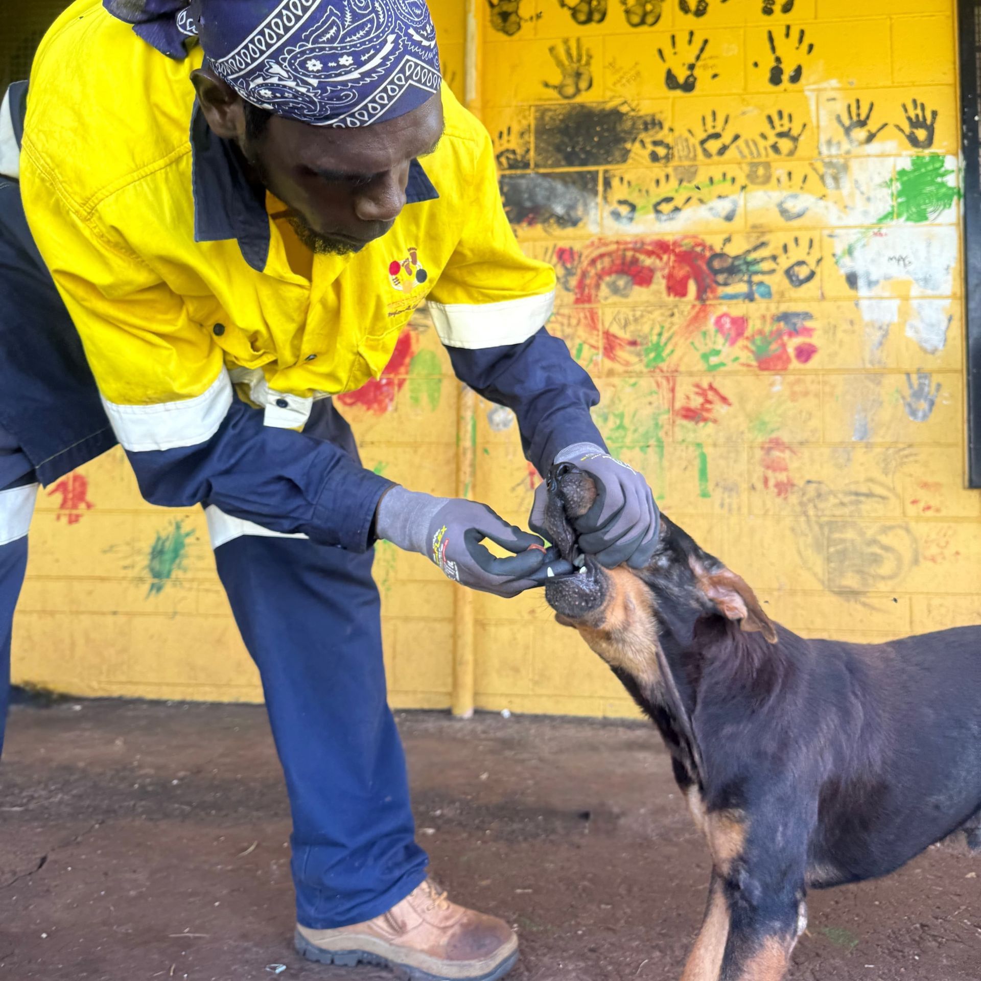 Man in work clothes giving medication to a dog. Yellow wall with handprints in the background.