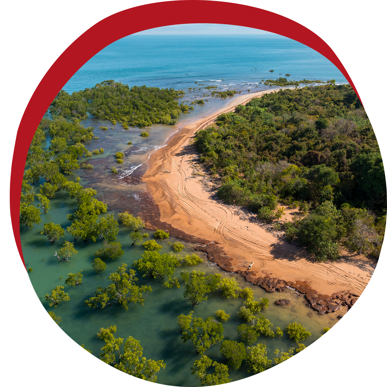 Aerial view of a sandy beach flanked by turquoise water and lush green vegetation; red circle overlay.