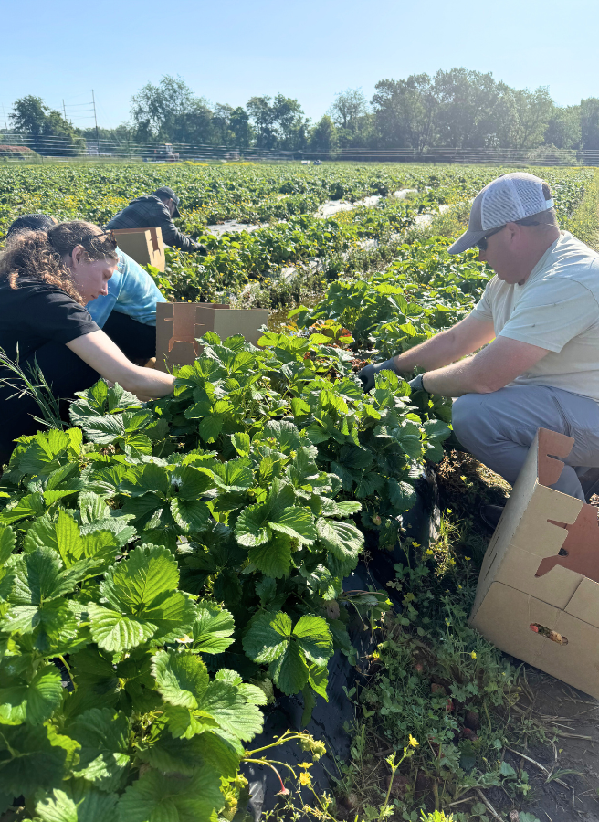 A white picket fence surrounds a garden filled with lots of plants and flowers.