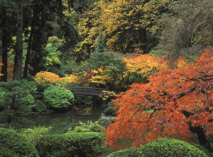 Red, yellow, and green trees surround a small bridge over water