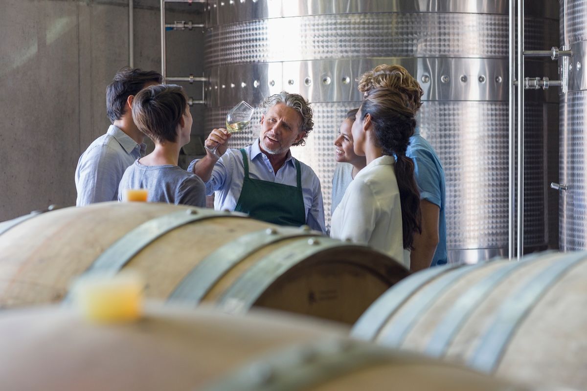 Winemaker giving teaching a group of young adults about wine