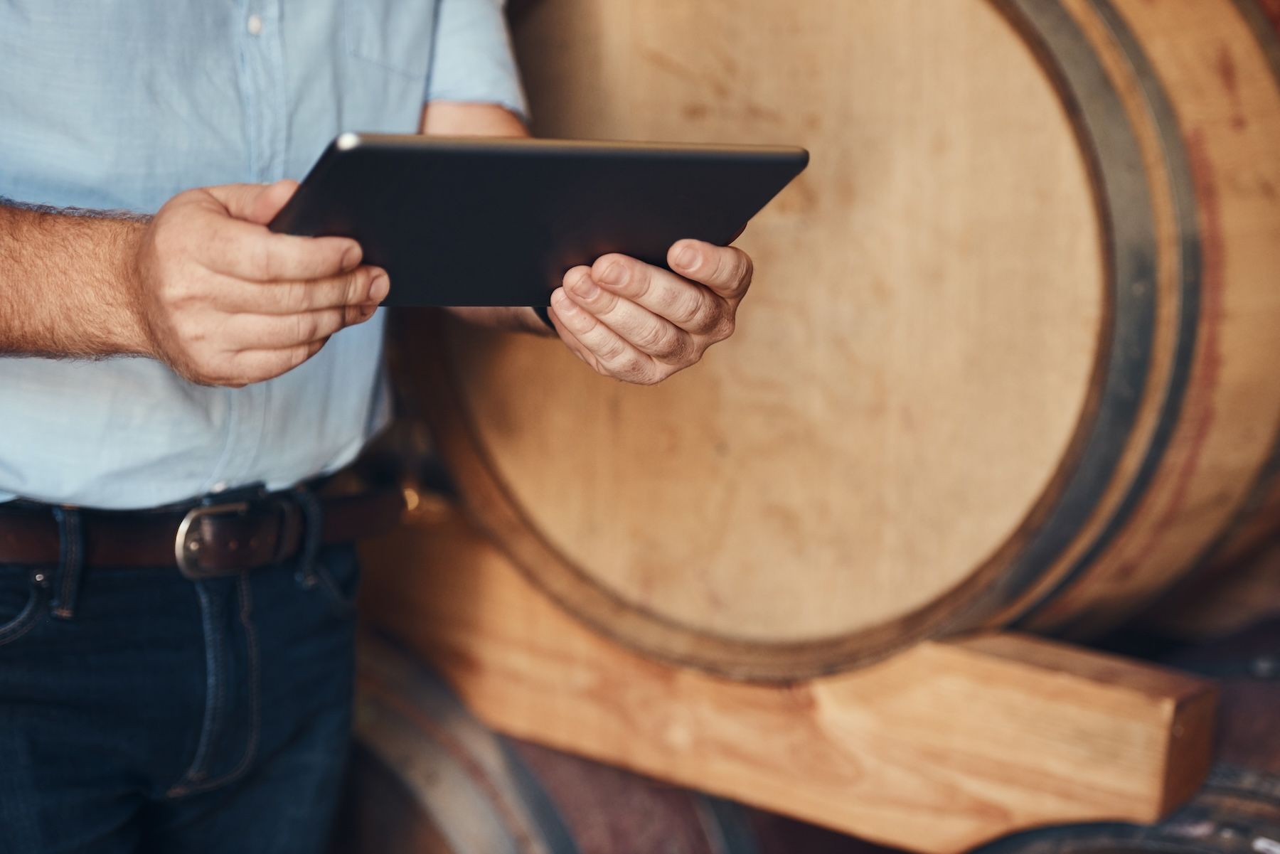 Winery employee looking at data on table in barrel room