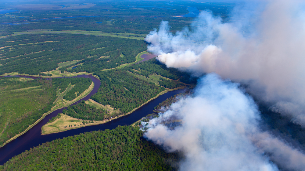 An aerial view of a forest fire with smoke coming out of it.