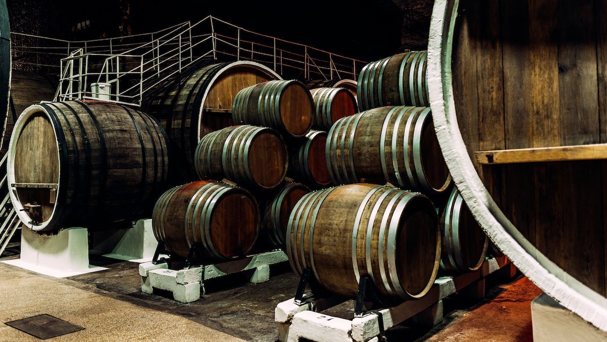 wine barrels in cellar