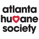 animal shelter cleaning commercial facility in buckhead atlanta, ga