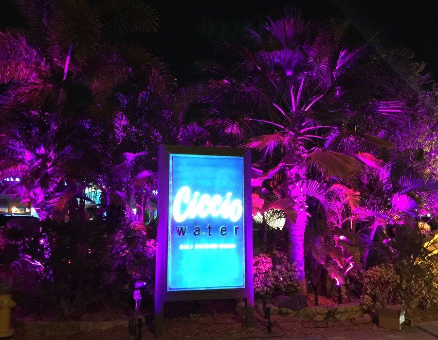 Outdoor Landscape Lighting Blue And Purple For Restaurant Branding – Tampa Bay, FL – American Outdoor Lighting