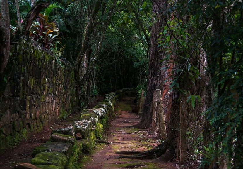 Bosque Mãe d'água