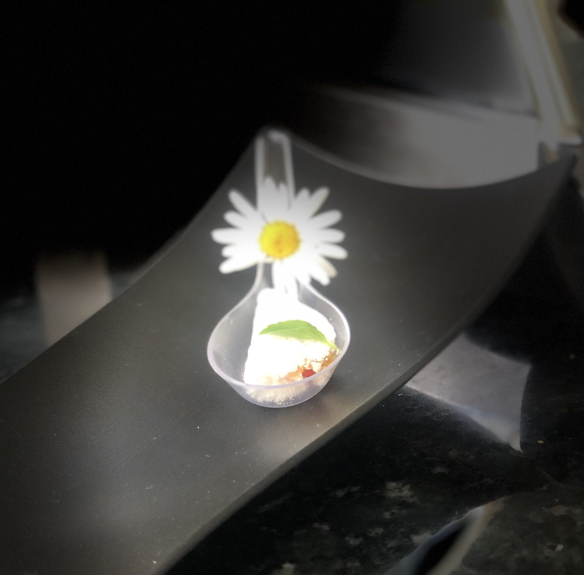 Uma colher com uma flor sobre uma mesa