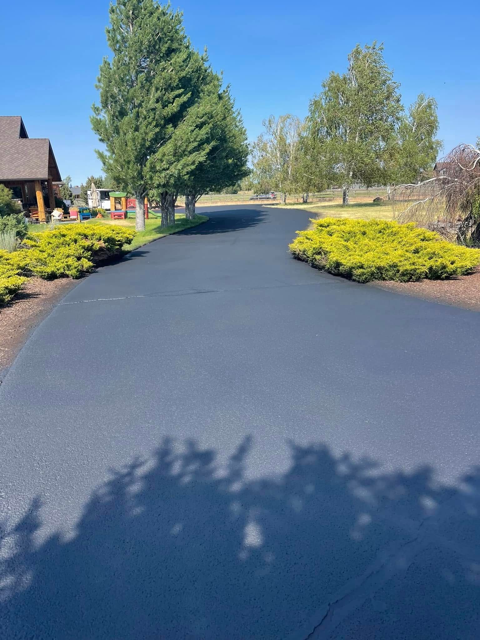 A driveway leading to a house with trees and bushes on both sides.