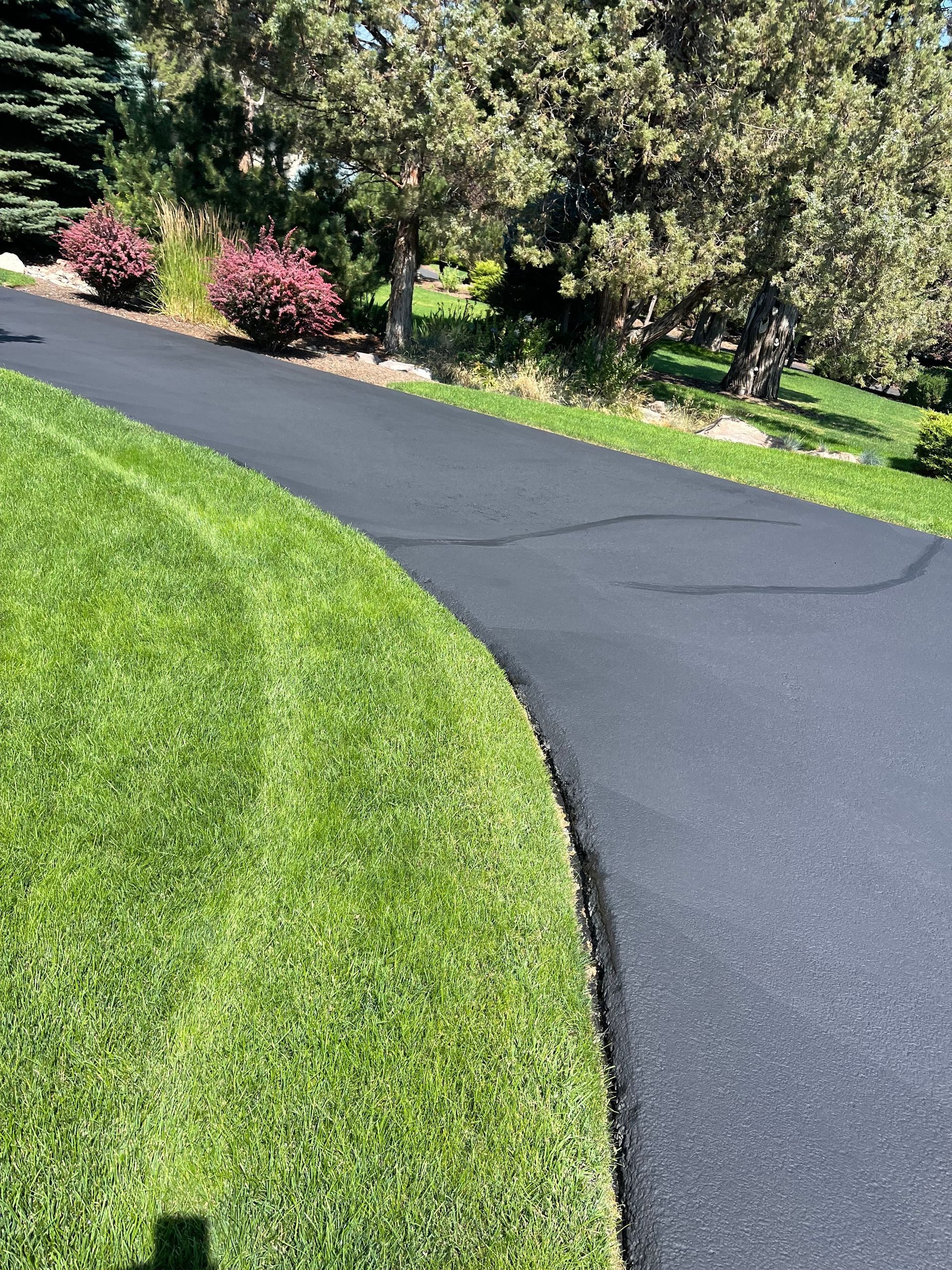 A black driveway surrounded by green grass and trees.