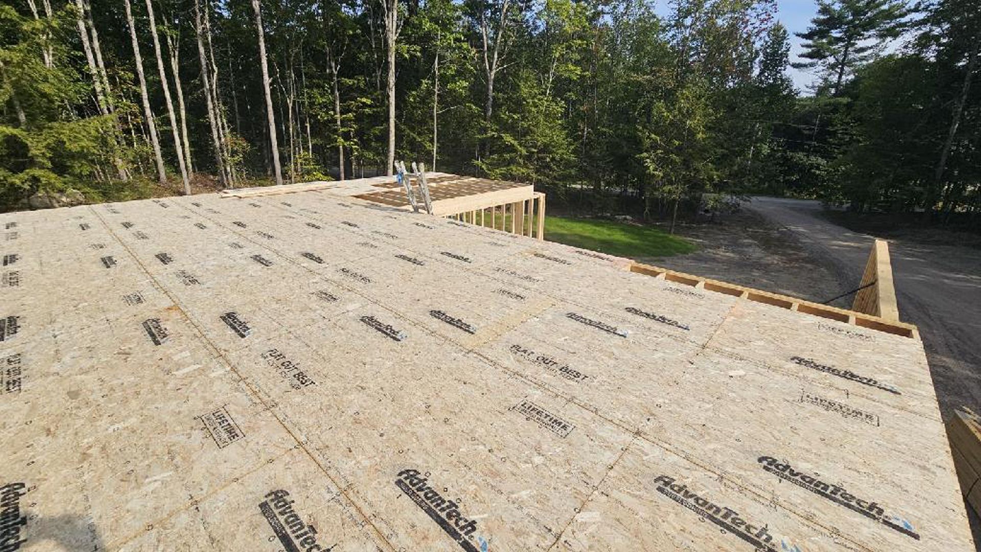 The roof of a house is being built in the woods.