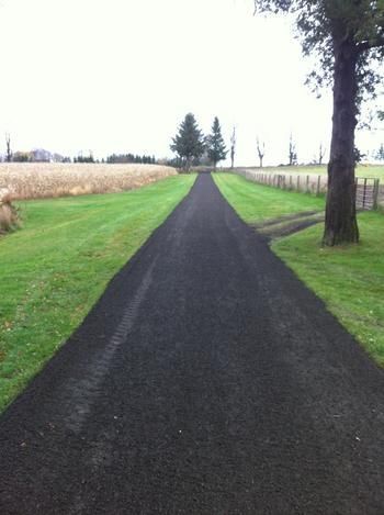 A road going through a grassy field with a tree on the side.