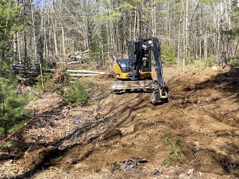 A bulldozer is moving dirt in the middle of a forest.