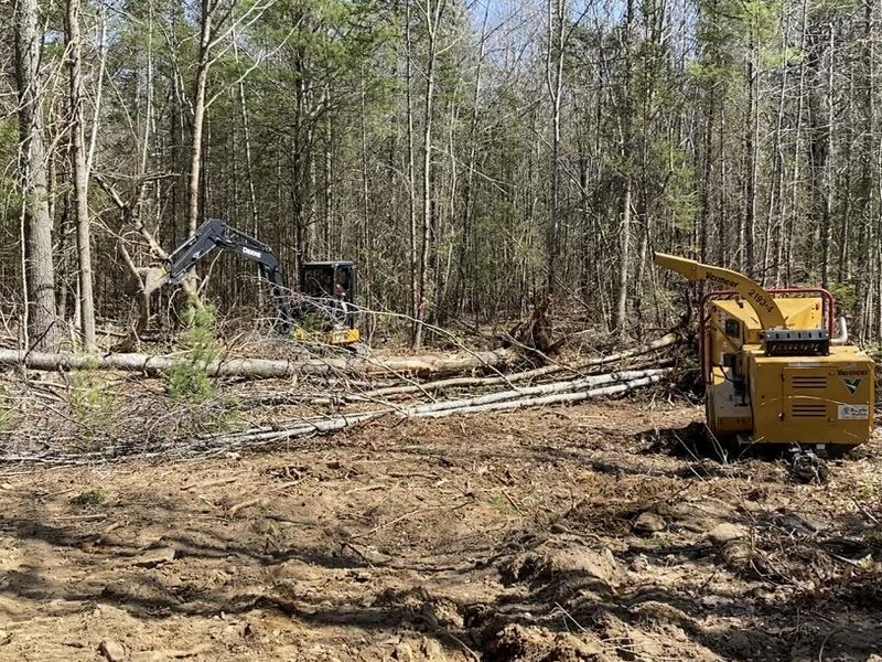 A bulldozer is cutting down trees in a forest.